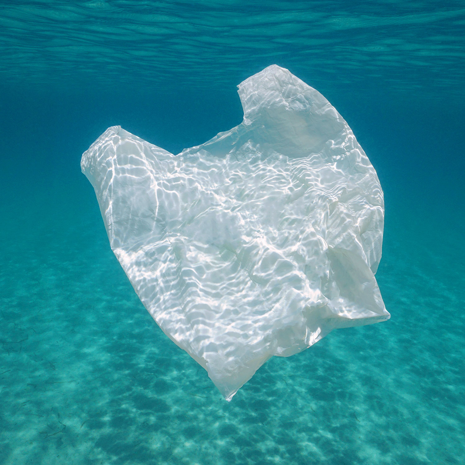 Image of single use plastic bag in water