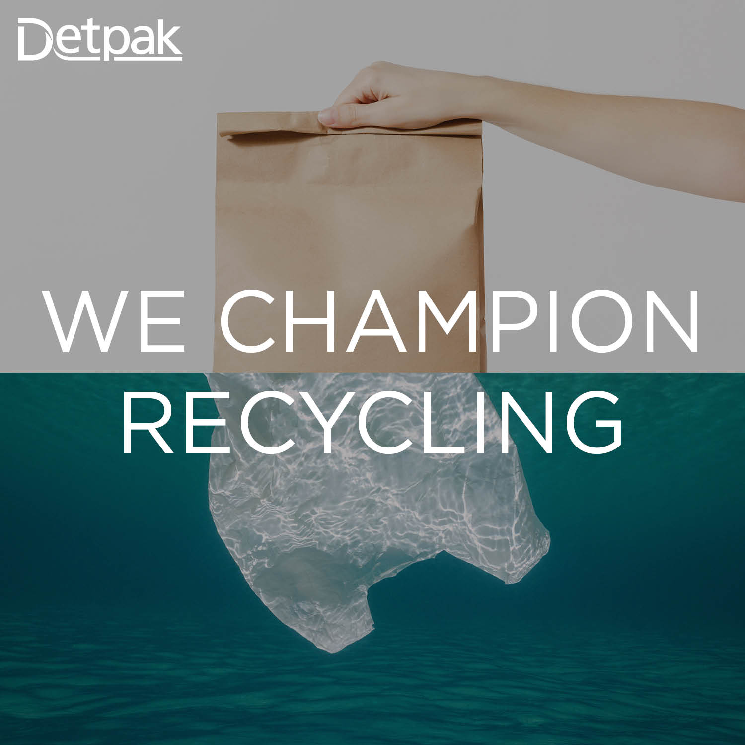 Image of paper bag and plastic bag with text 'We Champion recycling'
