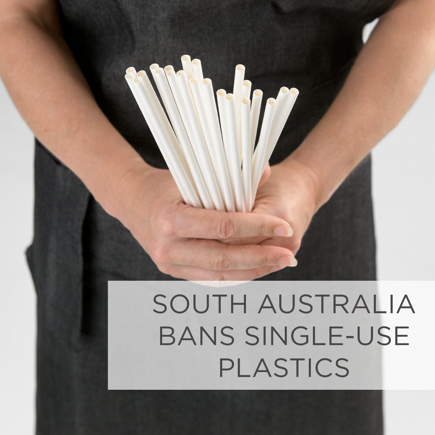 Image of paper Endura straws and text South Australia bans single use plastics 