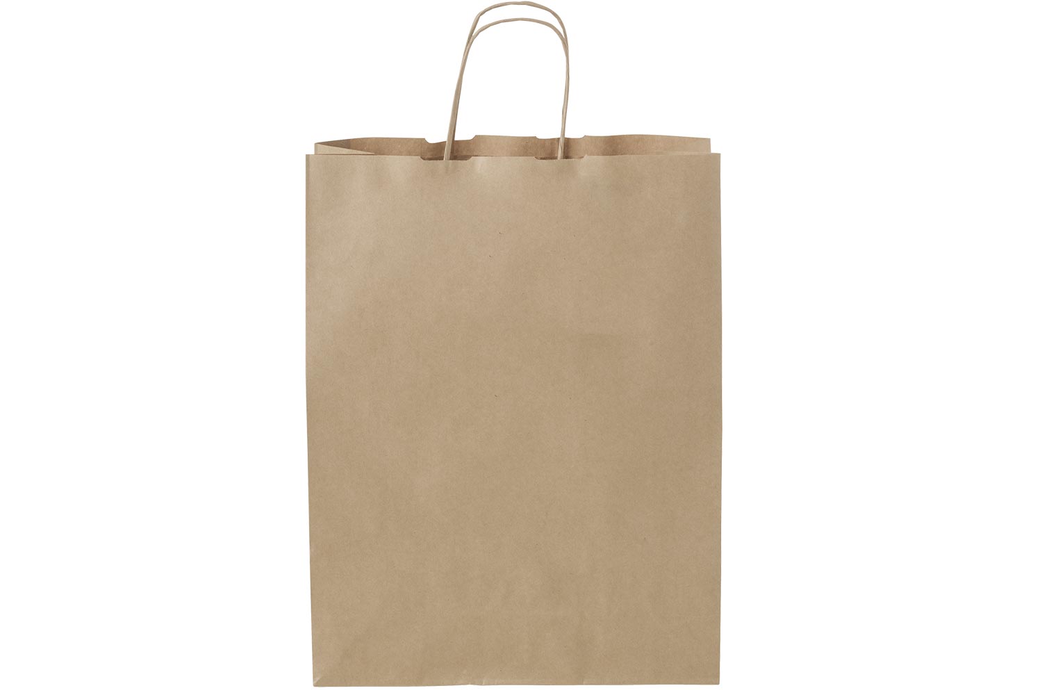 Image of Medium Carry Bag