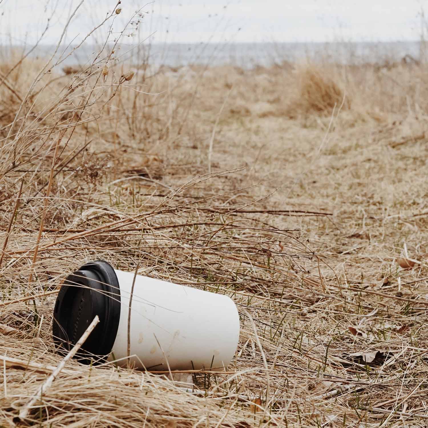 Five things you should know about compostable cups