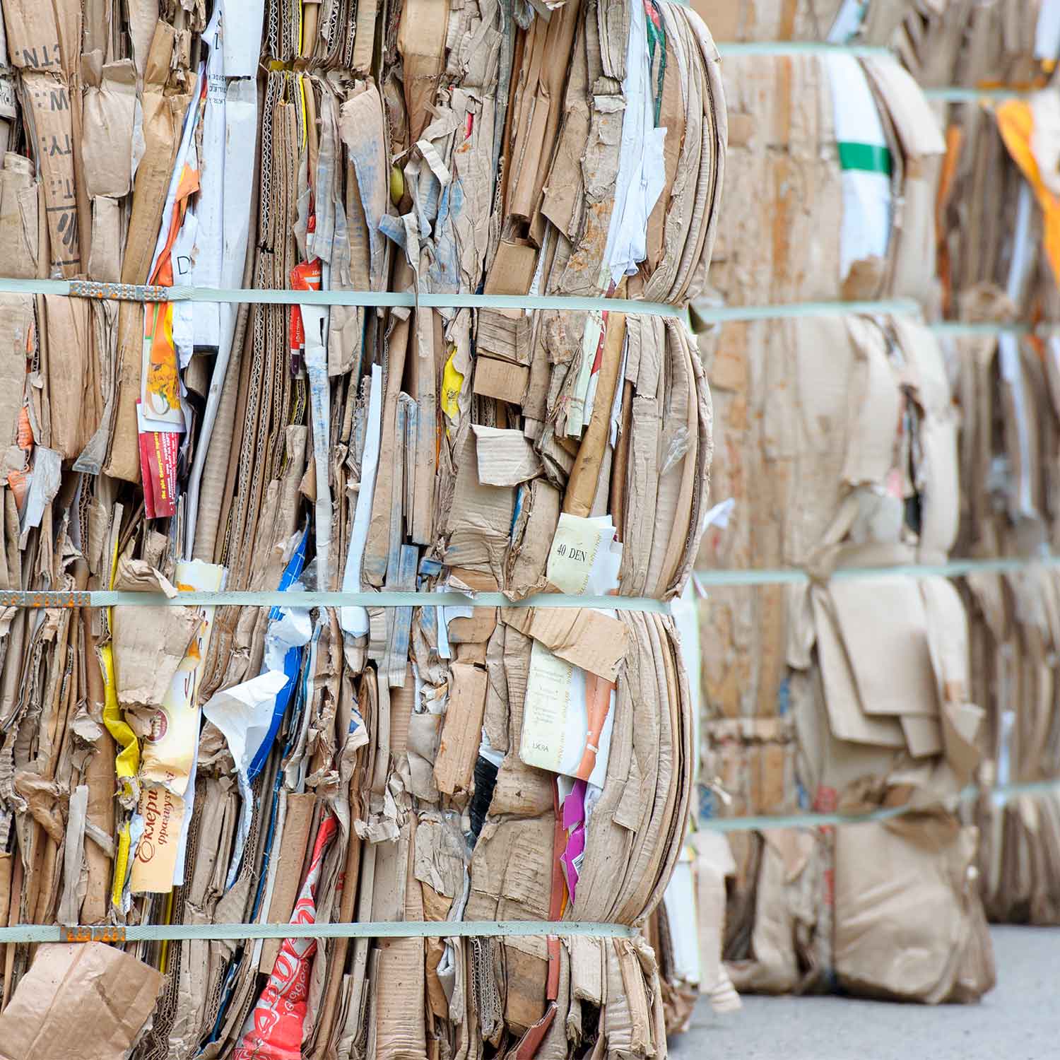 Image of bales of cardboard