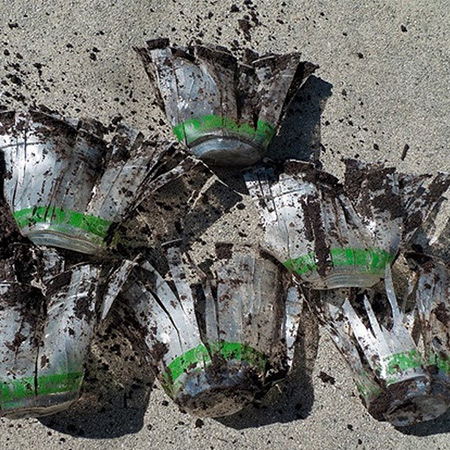 Compostable cups sitting on a beach
