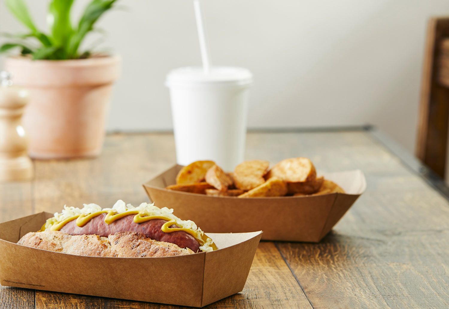 Image of Detpak's Go Range, a hot dog and wedges in an open cardboard tray