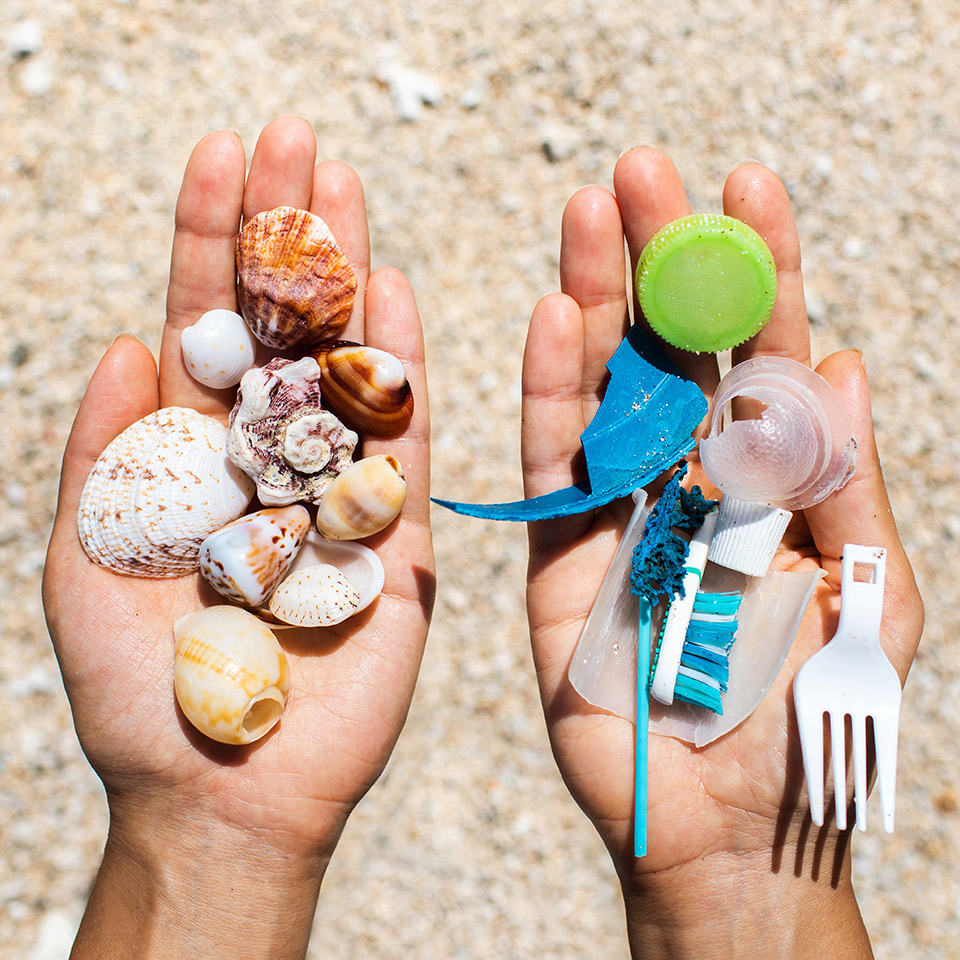 Left hand filled with sea shells, and right hand filled with plastic waste found on the beach. 