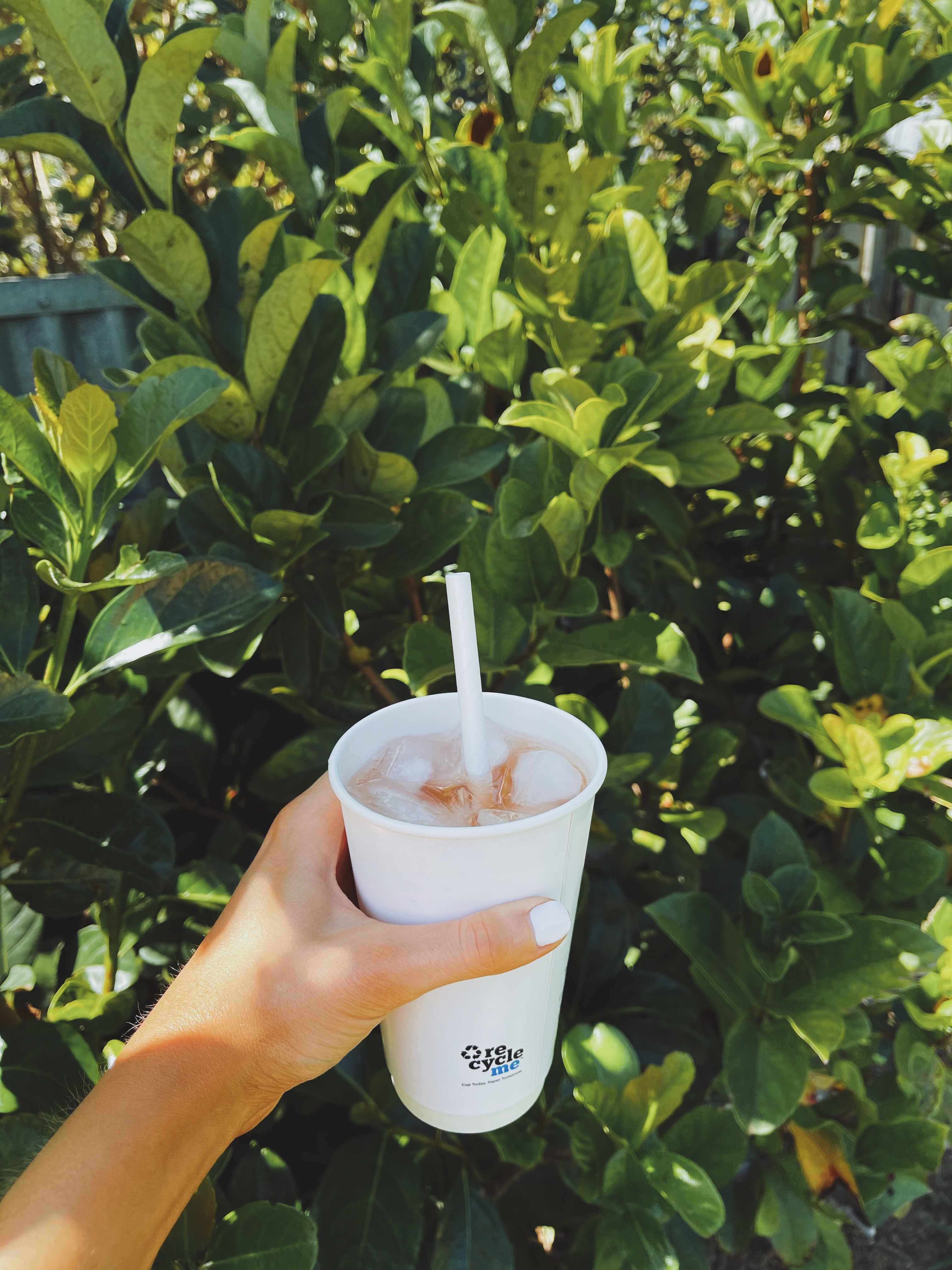 RecycleMe cup filled with soda and pictured with an endura paper straw. 