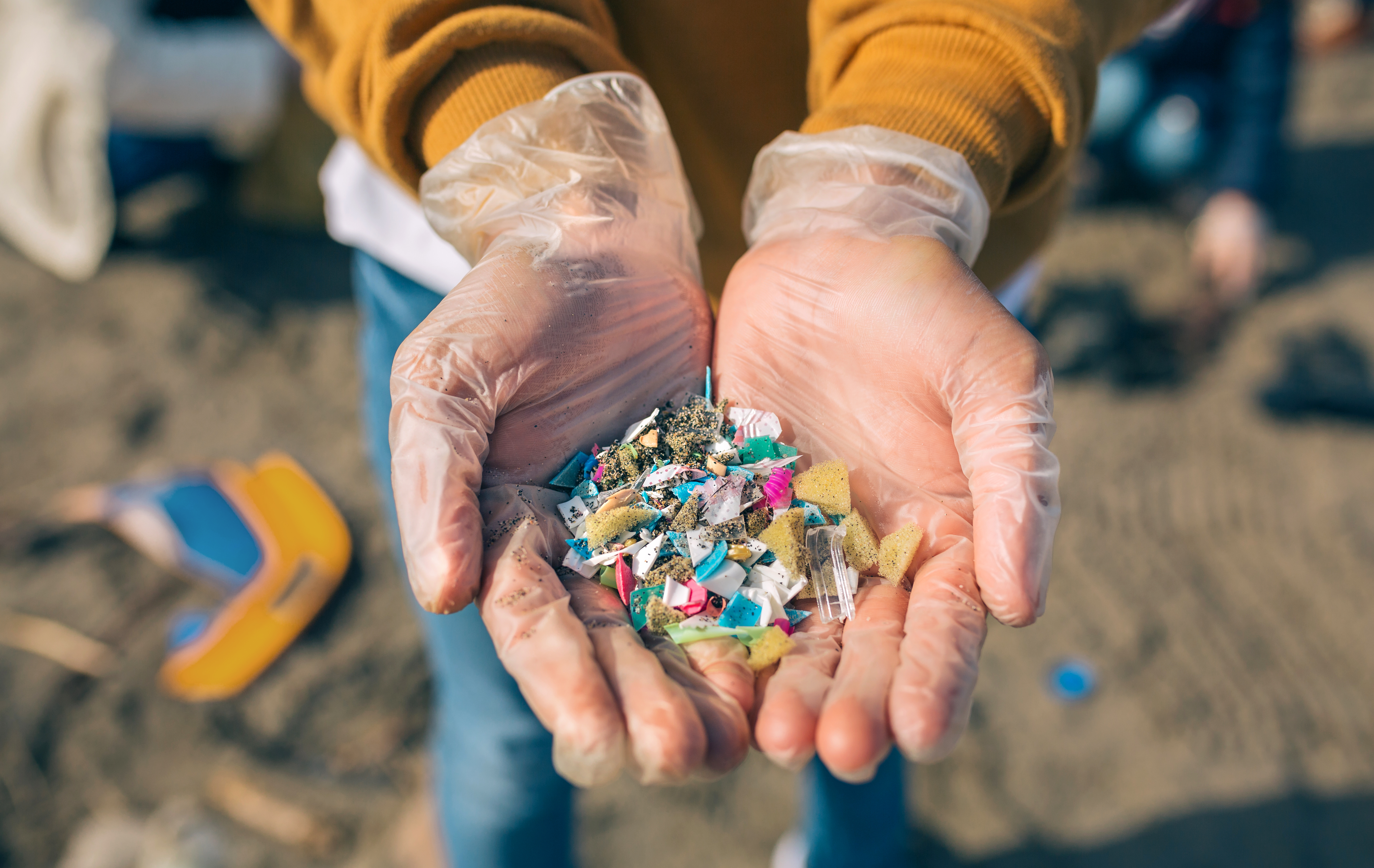 Hands filled with microplastic particles found at the beach.