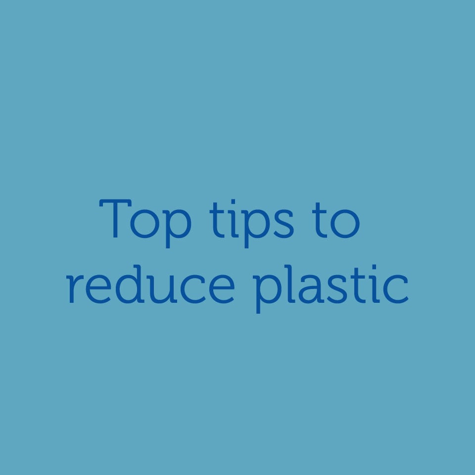 Learn how you can reduce your use of plastic this July